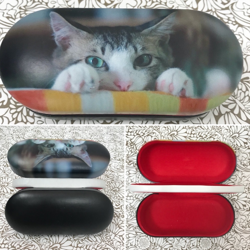 Double glass case with mirror - cats!